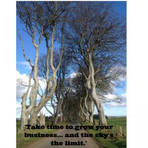 Dark Hedges quote